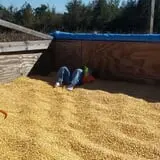 Carolina Country Fresh photo