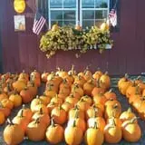 Bradstreet Farms photo