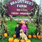 Bradstreet Farms photo