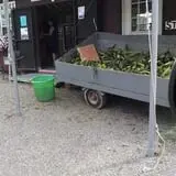 Bradstreet Farms photo