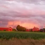 Bradstreet Farms photo