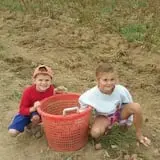 Bradstreet Farms photo