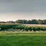 Bradstreet Farms photo