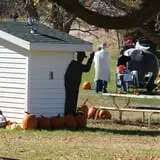 Cox's Pumpkin Patch photo