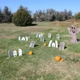 Cox's Pumpkin Patch photo