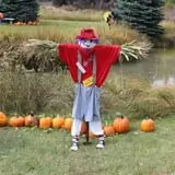 Cox's Pumpkin Patch photo
