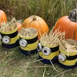 Cox's Pumpkin Patch photo