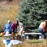 Cox's Pumpkin Patch photo