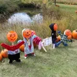 Cox's Pumpkin Patch photo