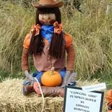 Cox's Pumpkin Patch photo