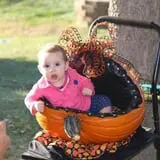 Cox's Pumpkin Patch photo