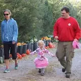 Cox's Pumpkin Patch photo
