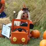 Cox's Pumpkin Patch photo