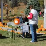 Cox's Pumpkin Patch photo