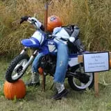 Cox's Pumpkin Patch photo