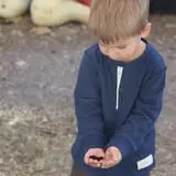 Cox's Pumpkin Patch photo