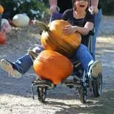 Cox's Pumpkin Patch photo