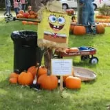 Cox's Pumpkin Patch photo
