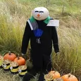 Cox's Pumpkin Patch photo