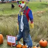 Cox's Pumpkin Patch photo