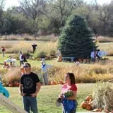 Cox's Pumpkin Patch photo