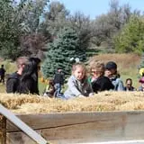 Cox's Pumpkin Patch photo