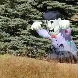 Cox's Pumpkin Patch photo