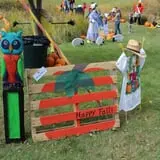 Cox's Pumpkin Patch photo