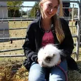 Cox's Pumpkin Patch photo