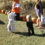 Cox's Pumpkin Patch photo