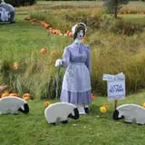 Cox's Pumpkin Patch photo