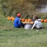 Cox's Pumpkin Patch photo