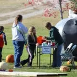 Cox's Pumpkin Patch photo