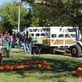 Cox's Pumpkin Patch photo