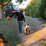 Cox's Pumpkin Patch photo
