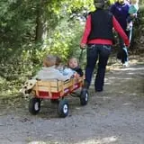 Cox's Pumpkin Patch photo