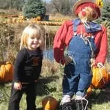 Cox's Pumpkin Patch photo
