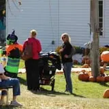 Cox's Pumpkin Patch photo
