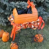 Cox's Pumpkin Patch photo