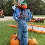Cox's Pumpkin Patch photo