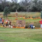 Cox's Pumpkin Patch photo