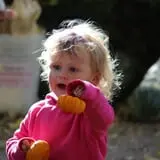 Cox's Pumpkin Patch photo