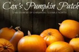 Cox's Pumpkin Patch