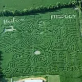 Haunted Maize at Pumpkins and More A-Maiz-ing Farm photo