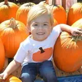 Haunted Maize at Pumpkins and More A-Maiz-ing Farm photo