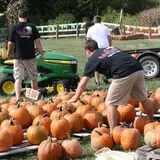 Haunted Maize at Pumpkins and More A-Maiz-ing Farm photo