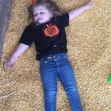 Haunted Maize at Pumpkins and More A-Maiz-ing Farm photo