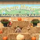 Haunted Maize at Pumpkins and More A-Maiz-ing Farm photo