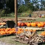 Haunted Maize at Pumpkins and More A-Maiz-ing Farm photo