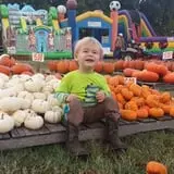 Haunted Maize at Pumpkins and More A-Maiz-ing Farm photo